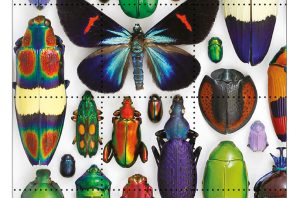 Christopher Marley Beautiful Bugs Block Puzzle 122