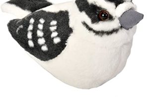 Downy Woodpecker