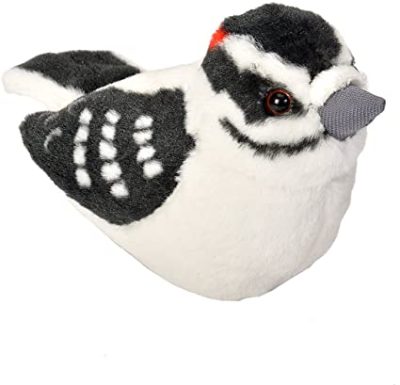 Plushy-Downy Woodpecker