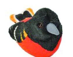 Oriole