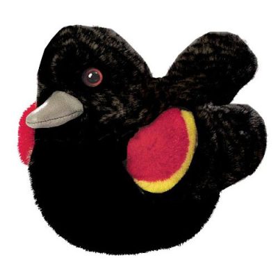 Plushy-Red Winged Black Bird