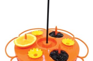 Oriole Feeder with jelly cup and orange spike
