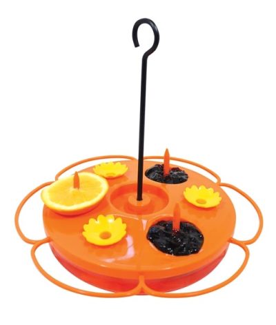 Oriole Feeder with jelly cup and orange spike