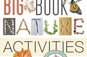 Bigbookofnatureactivites