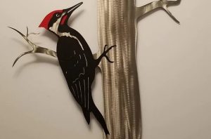 Pileated Wall New 22