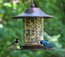 Panorama Bird Feeder Brown