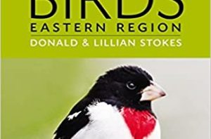 Stokes Eastern