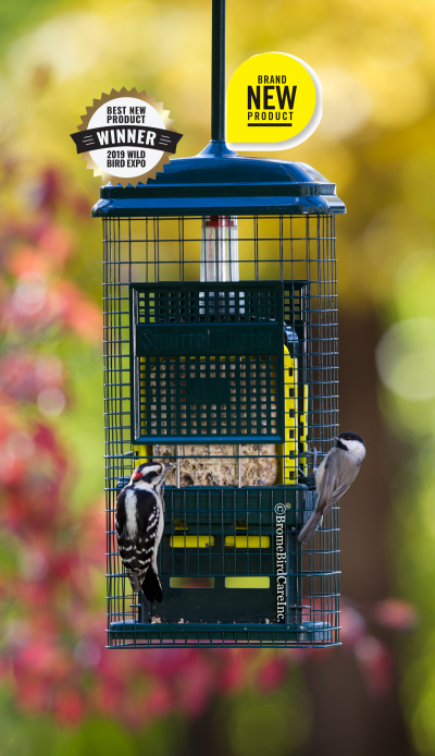 Brome - Squirrel Buster Suet feeder