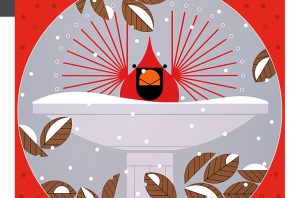 Charley Harper Brrrrrdbath 300 Piece Jigsaw Puzzle 14