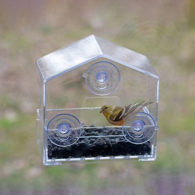 Plexi Window Feeder