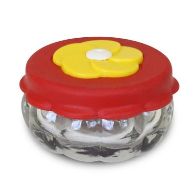 Glass hand held hummingbird feeder