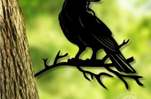 Raven On Branch