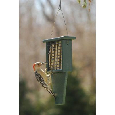 Going Green-Suet feeder with tail prop