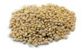 Whitemillet