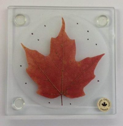 Glass Coaster - Red Maple Leaf (Single)