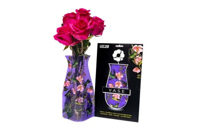 Modgy collapsible vase - Anna's hummingbird