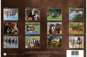 Delafield Calendars Love Of Horses Calendar 2025 (1)