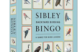Sibley Bingo