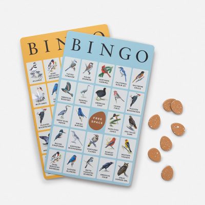 Sibley Backyard Birding Bingo - Image 3