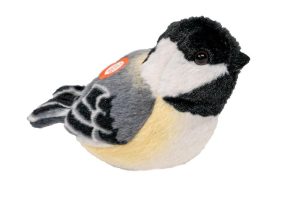 Chickadee