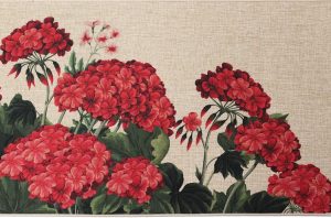 Geraniums1.5x2.5 1800x1800