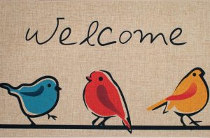 Poly mat - Birds Welcome