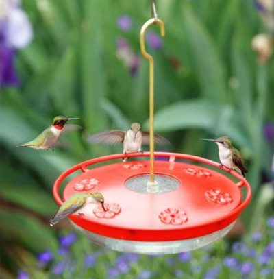 Aspects - Saucer, HighView Excel (16oz)
