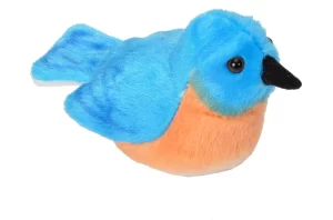 Eastern Bluebird