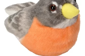 Robin