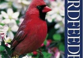 Birdfeeder Guide