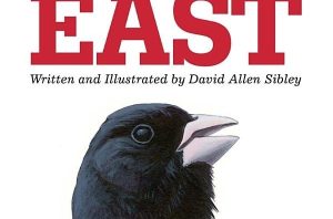 Sibley Birds East