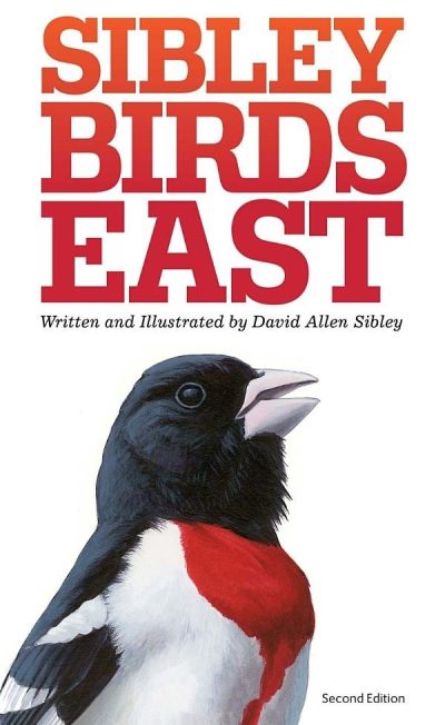 Sibley Birds East