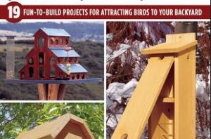 Birdhouses 2