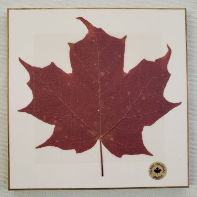 Wooden Wall Plaque - Maple Leaf