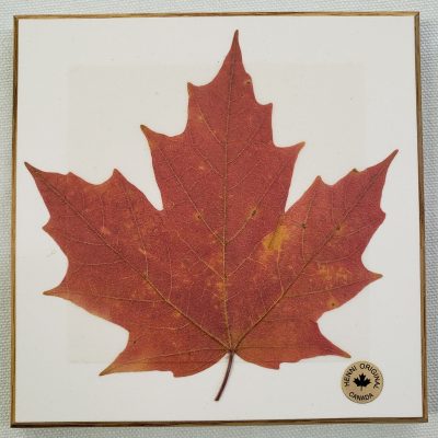 Wooden Wall Plaque - Maple Leaf - Image 4
