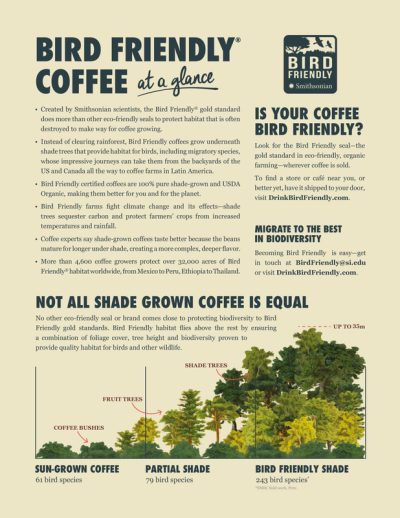 Birds & Beans - Bird Friendly Coffee - Image 7