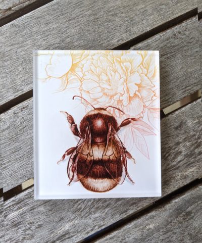 Resin Magnets By Crystal Driedger - Bee