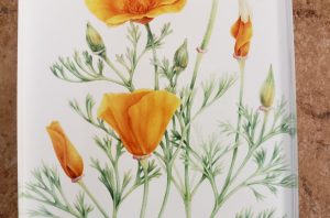 Poppy Magnet 1
