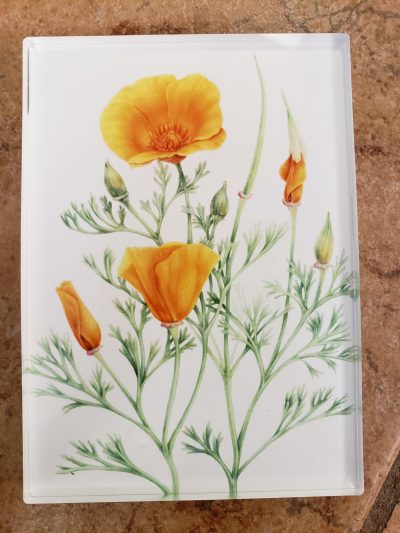 Resin Magnets By Crystal Driedger - California Poppies