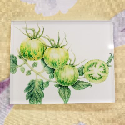 Resin Magnets By Crystal Driedger - Green Tomatoes