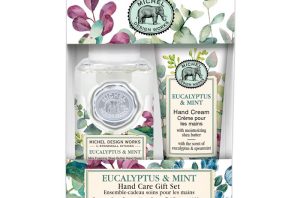 Michel Design Eucalyptus & Mint Handcare Gift Set