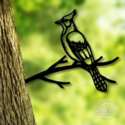 Blue Jay - Side mount (New Version)