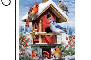 Winter Birdhouse Gathering