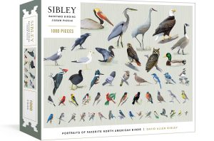 Sibley Birds