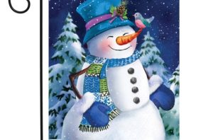 Snowfall Celebration