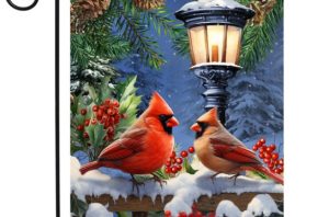 Winter Glow Cardinals