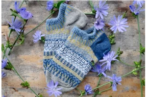 Chickory Ankle