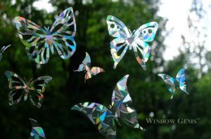 Butterflies