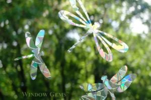 Dragonflies