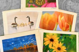Linda Kassil Cards